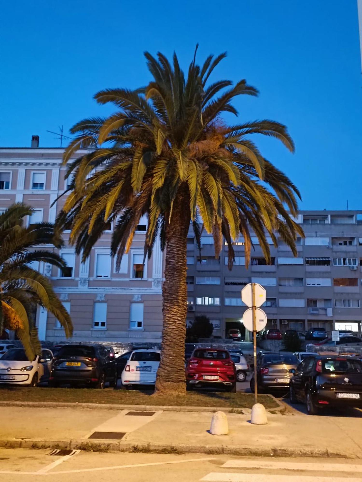 Apartamento Zadar Beach Apartments Zadar
